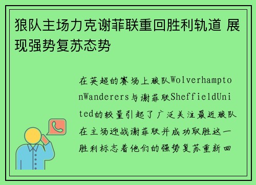 狼队主场力克谢菲联重回胜利轨道 展现强势复苏态势